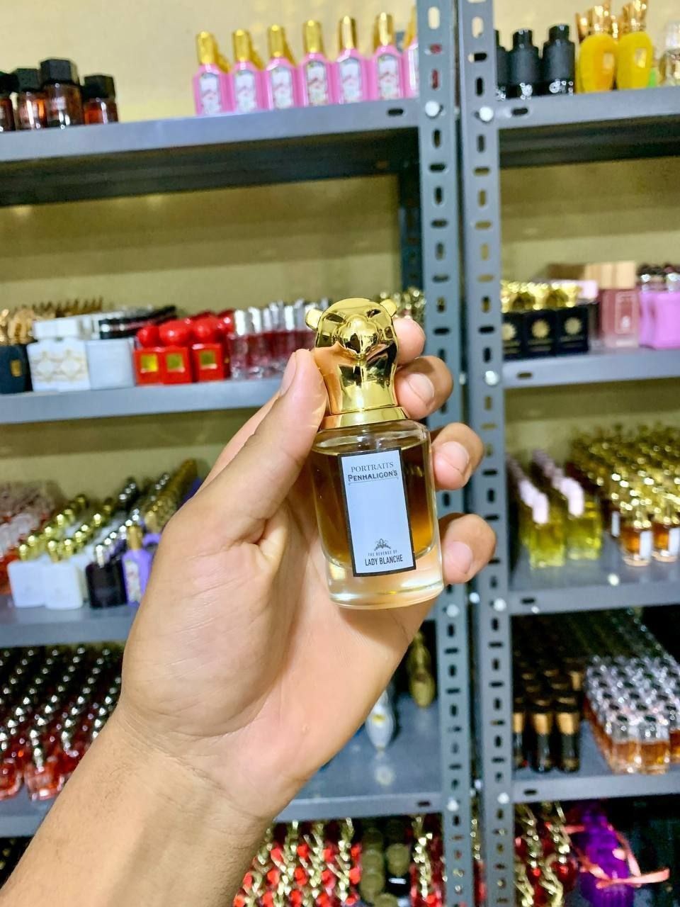 WhatsApp Image 2025-10-28 at 10.45.44 PM