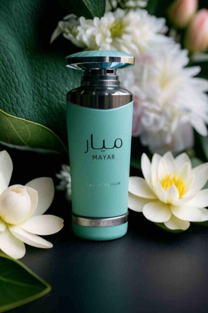 Mayar